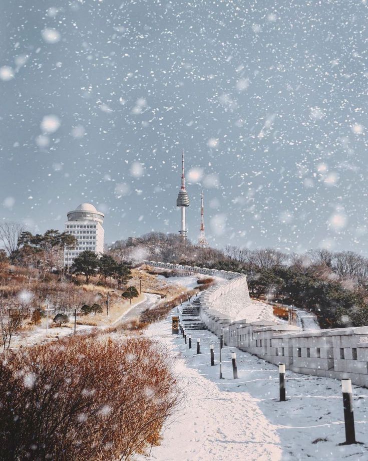 Seoul in Winter